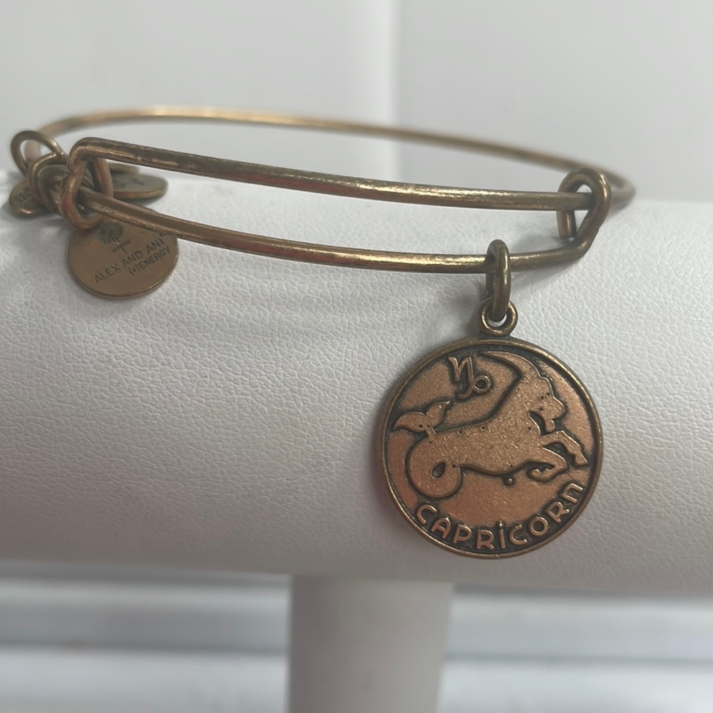 Alex and Ani Capricorn Bracelet